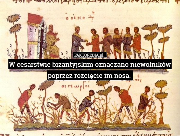W cesarstwie bizantyjskim oznaczano niewolników poprzez rozcięcie im nosa. 