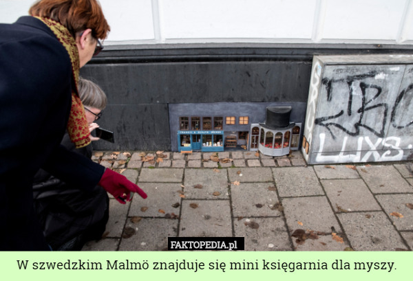 W szwedzkim Malmö znajduje się mini księgarnia dla myszy. 