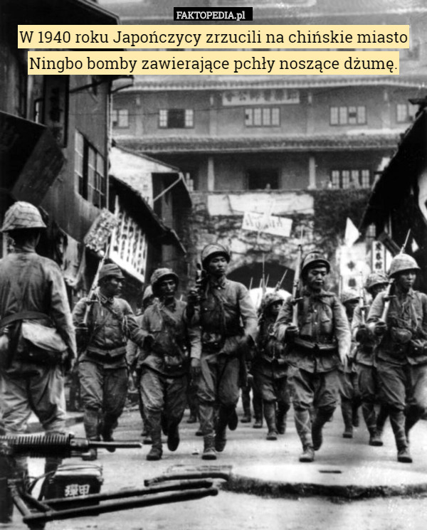 W 1940 roku Japończycy zrzucili na chińskie miasto Ningbo bomby zawierające pchły noszące dżumę. 
