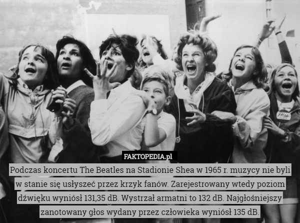 Podczas koncertu The Beatles na Stadionie Shea w 1965 r. muzycy nie byli w stanie się usłyszeć przez krzyk fanów. Zarejestrowany wtedy poziom dźwięku wyniósł 131,35 dB. Wystrzał armatni to 132 dB. Najgłośniejszy zanotowany głos wydany przez człowieka wyniósł 135 dB. 