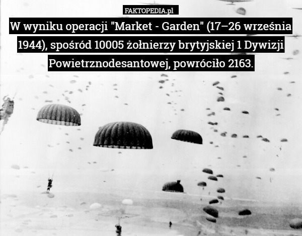 W wyniku operacji "Market - Garden" (17–26 września 1944), spośród 10005 żołnierzy brytyjskiej 1 Dywizji Powietrznodesantowej, powróciło 2163. 