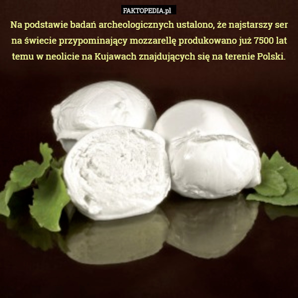 Na podstawie badań archeologicznych ustalono, że najstarszy ser na świecie przypominający mozzarellę produkowano już 7500 lat temu w neolicie na Kujawach znajdujących się na terenie Polski. 