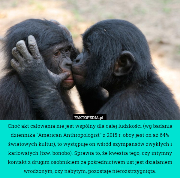 Choć akt całowania nie jest wspólny dla całej ludzkości (wg badania dziennika "American Anthropologist" z 2015 r. obcy jest on aż 64% światowych kultur), to występuje on wśród szympansów zwykłych i karłowatych (tzw. bonobo). Sprawia to, że kwestia tego, czy intymny kontakt z drugim osobnikiem za pośrednictwem ust jest działaniem wrodzonym, czy nabytym, pozostaje nierozstrzygnięta. 