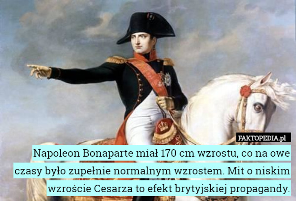 Napoleon Bonaparte miał 170 cm wzrostu, co na owe czasy było zupełnie normalnym wzrostem. Mit o niskim wzroście Cesarza to efekt brytyjskiej propagandy. 