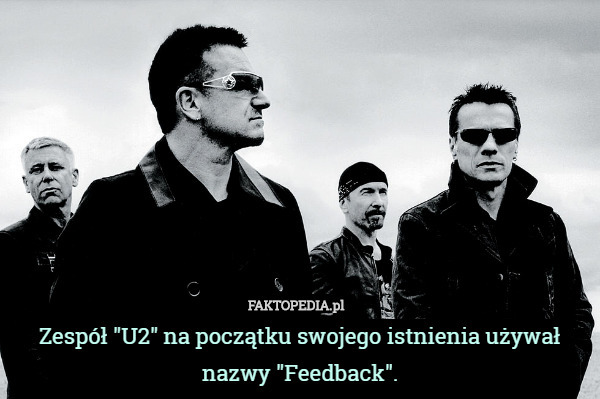 Zespół "U2" na początku swojego istnienia używał nazwy "Feedback". 