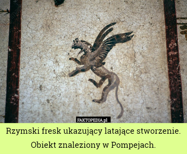 Rzymski fresk ukazujący latające stworzenie. Obiekt znaleziony w Pompejach. 