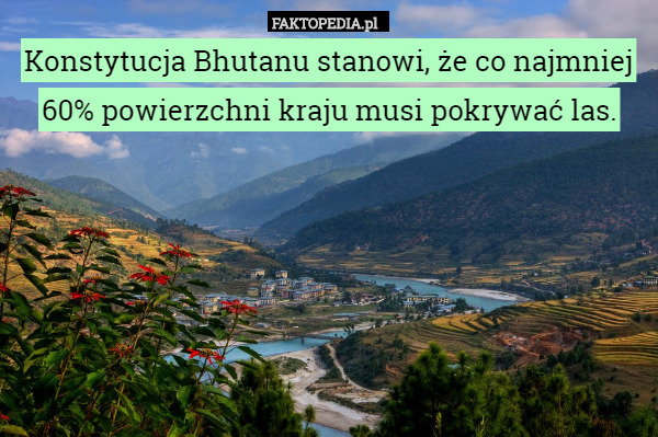 Konstytucja Bhutanu stanowi, że co najmniej 60% powierzchni kraju musi pokrywać las. 