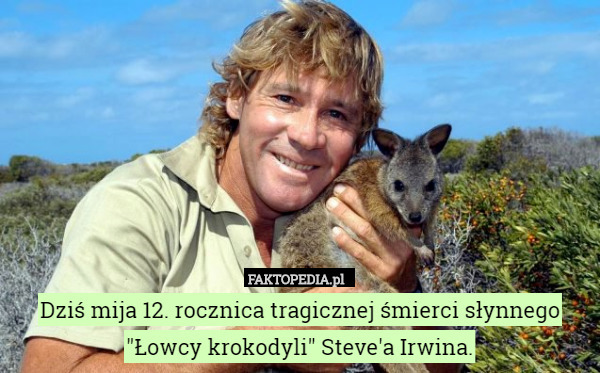 Dziś mija 12. rocznica tragicznej śmierci słynnego "Łowcy krokodyli" Steve'a Irwina. 