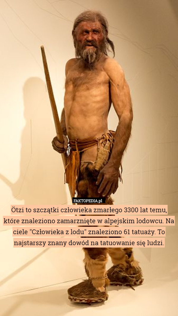 Ötzi to szczątki człowieka zmarłego 3300 lat temu, które znaleziono zamarznięte w alpejskim lodowcu. Na ciele "Człowieka z lodu" znaleziono 61 tatuaży. To najstarszy znany dowód na tatuowanie się ludzi. 