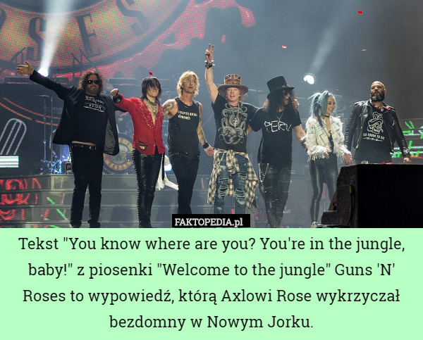 Tekst "You know where are you? You're in the jungle, baby!" z piosenki "Welcome to the jungle" Guns 'N' Roses to wypowiedź, którą Axlowi Rose wykrzyczał bezdomny w Nowym Jorku. 