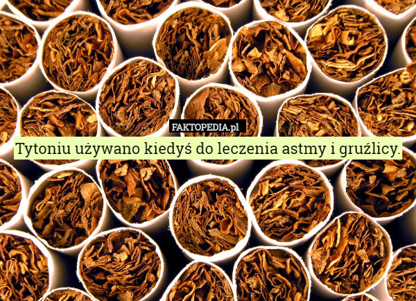 Tytoniu używano kiedyś do leczenia astmy i gruźlicy. 