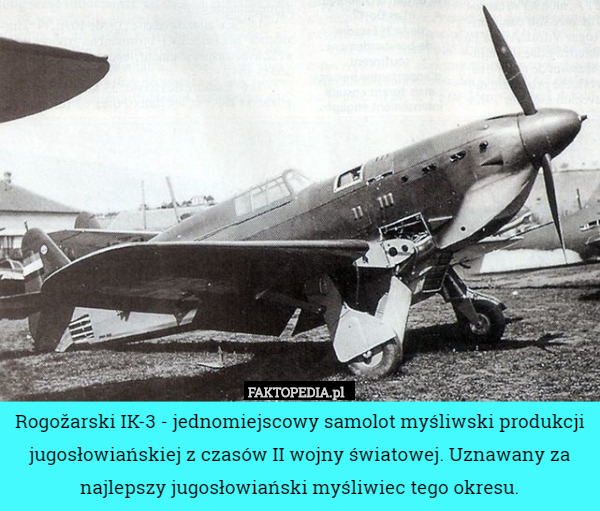 Rogožarski IK-3 - jednomiejscowy samolot myśliwski produkcji jugosłowiańskiej z czasów II wojny światowej. Uznawany za najlepszy jugosłowiański myśliwiec tego okresu. 