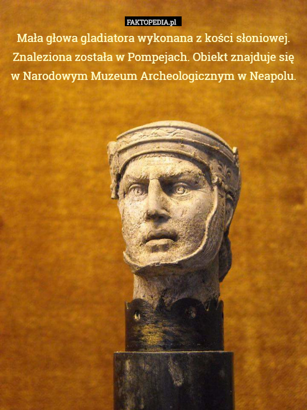 Mała głowa gladiatora wykonana z kości słoniowej. Znaleziona została w Pompejach. Obiekt znajduje się
 w Narodowym Muzeum Archeologicznym w Neapolu. 