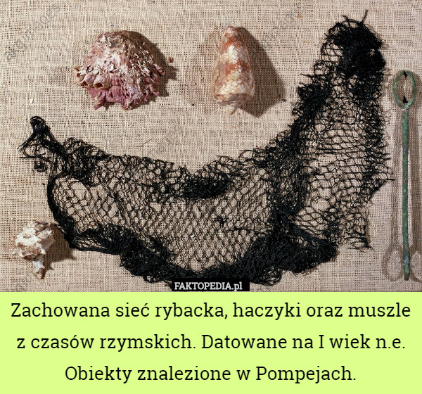 Zachowana sieć rybacka, haczyki oraz muszle z czasów rzymskich. Datowane na I wiek n.e. Obiekty znalezione w Pompejach. 