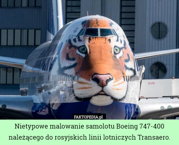 Nietypowe malowanie samolotu Boeing 747-400 należącego do rosyjskich linii lotniczych Transaero. 