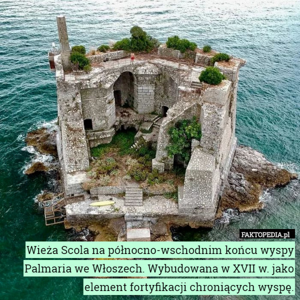 Wieża Scola na północno-wschodnim końcu wyspy Palmaria we Włoszech. Wybudowana w XVII w. jako element fortyfikacji chroniących wyspę. 