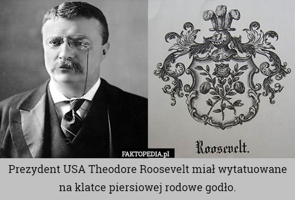 Prezydent USA Theodore Roosevelt miał wytatuowane na klatce piersiowej rodowe godło. 