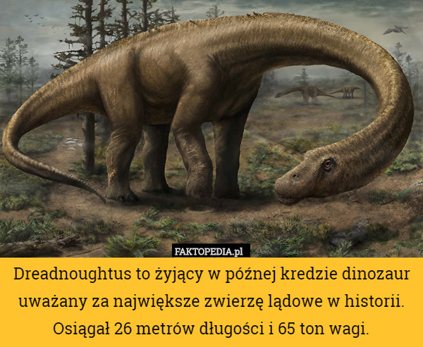Dreadnoughtus to żyjący w późnej kredzie dinozaur uważany za największe zwierzę lądowe w historii. Osiągał 26 metrów długości i 65 ton wagi. 