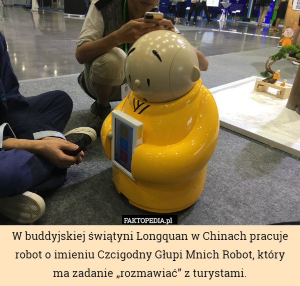 W buddyjskiej świątyni Longquan w Chinach pracuje robot o imieniu Czcigodny Głupi Mnich Robot, który ma zadanie „rozmawiać” z turystami. 