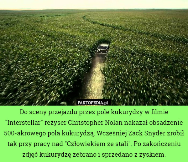Do sceny przejazdu przez pole kukurydzy w filmie "Interstellar" reżyser Christopher Nolan nakazał obsadzenie 500-akrowego pola kukurydzą. Wcześniej Zack Snyder zrobił tak przy pracy nad "Człowiekiem ze stali". Po zakończeniu zdjęć kukurydzę zebrano i sprzedano z zyskiem. 