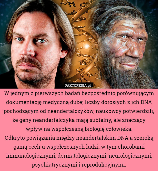 W jednym z pierwszych badań bezpośrednio porównującym dokumentację medyczną dużej liczby dorosłych z ich DNA pochodzącym od neandertalczyków, naukowcy potwierdzili, że geny neandertalczyka mają subtelny, ale znaczący
 wpływ na współczesną biologię człowieka.
Odkryto powiązania między neandertalskim DNA a szeroką gamą cech u współczesnych ludzi, w tym chorobami immunologicznymi, dermatologicznymi, neurologicznymi, psychiatrycznymi i reprodukcyjnymi. 