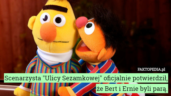 Scenarzysta "Ulicy Sezamkowej" oficjalnie potwierdził, że Bert i Ernie byli parą. 
