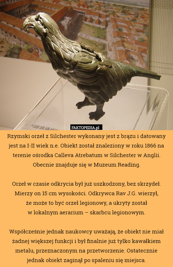Rzymski orzeł z Silchester wykonany jest z brązu i datowany jest na I-II wiek n.e. Obiekt został znaleziony w roku 1866 na terenie ośrodka Calleva Atrebatum w Silchester w Anglii. Obecnie znajduje się w Muzeum Reading.

Orzeł w czasie odkrycia był już uszkodzony, bez skrzydeł. Mierzy on 15 cm wysokości. Odkrywca Rav J.G. wierzył,
 że może to być orzeł legionowy, a ukryty został
 w lokalnym aerarium – skarbcu legionowym.

Współcześnie jednak naukowcy uważają, że obiekt nie miał żadnej większej funkcji i był finalnie już tylko kawałkiem metalu, przeznaczonym na przetworzenie. Ostatecznie
 jednak obiekt zaginął po spaleniu się miejsca. 