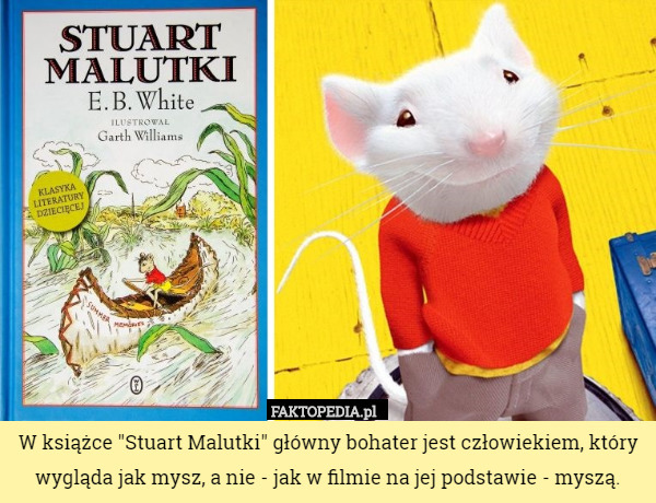 W książce "Stuart Malutki" główny bohater jest człowiekiem, który wygląda jak mysz, a nie - jak w filmie na jej podstawie - myszą. 
