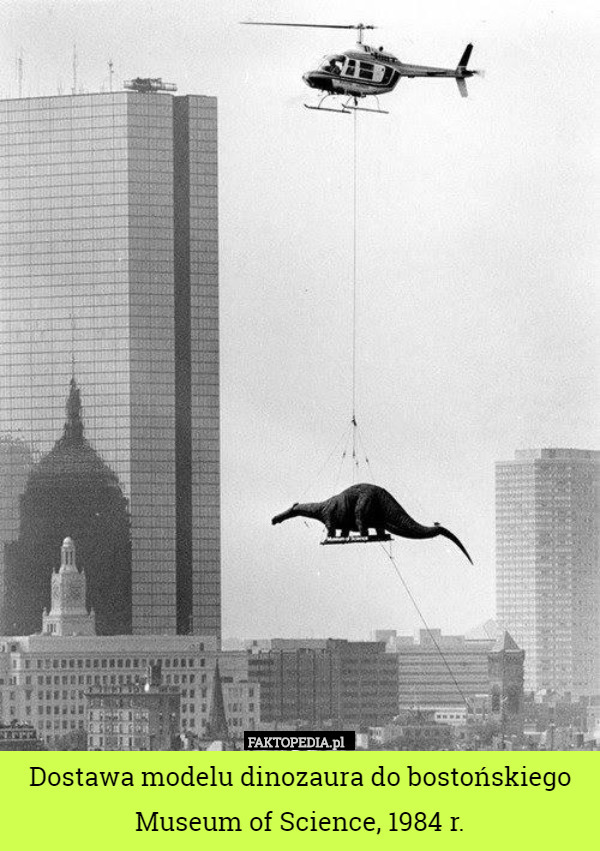 Dostawa modelu dinozaura do bostońskiego Museum of Science, 1984 r. 