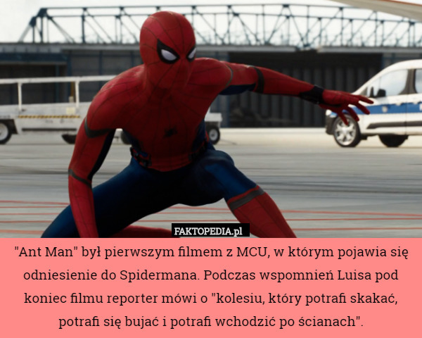 "Ant Man" był pierwszym filmem z MCU, w którym pojawia się odniesienie do Spidermana. Podczas wspomnień Luisa pod koniec filmu reporter mówi o "kolesiu, który potrafi skakać, potrafi się bujać i potrafi wchodzić po ścianach". 