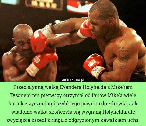 Przed słynną walką Evandera Holyfielda z Mike'iem Tysonem ten pierwszy otrzymał od fanów Mike'a wiele kartek z życzeniami szybkiego powrotu do zdrowia. Jak wiadomo walka skończyła się wygraną Holyfielda, ale zwycięzca zszedł z ringu z odgryzionym kawałkiem ucha. 