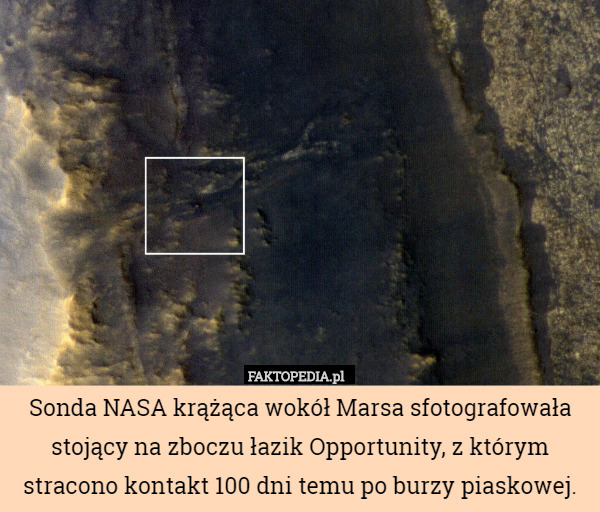 Sonda NASA krążąca wokół Marsa sfotografowała stojący na zboczu łazik Opportunity, z którym stracono kontakt 100 dni temu po burzy piaskowej. 