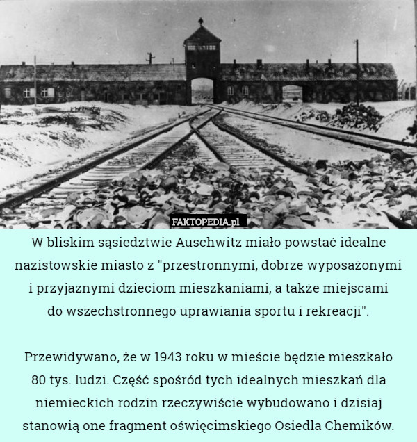W bliskim sąsiedztwie Auschwitz miało powstać idealne nazistowskie miasto z "przestronnymi, dobrze wyposażonymi
 i przyjaznymi dzieciom mieszkaniami, a także miejscami
 do wszechstronnego uprawiania sportu i rekreacji".

 Przewidywano, że w 1943 roku w mieście będzie mieszkało
 80 tys. ludzi. Część spośród tych idealnych mieszkań dla niemieckich rodzin rzeczywiście wybudowano i dzisiaj stanowią one fragment oświęcimskiego Osiedla Chemików. 
