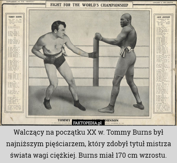 Walczący na początku XX w. Tommy Burns był najniższym pięściarzem, który zdobył tytuł mistrza świata wagi ciężkiej. Burns miał 170 cm wzrostu. 