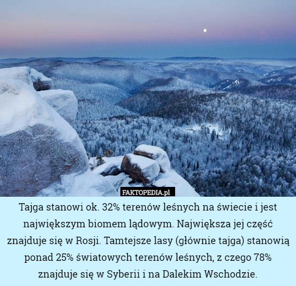Tajga stanowi ok. 32% terenów leśnych na świecie i jest największym biomem lądowym. Największa jej część znajduje się w Rosji. Tamtejsze lasy (głównie tajga) stanowią ponad 25% światowych terenów leśnych, z czego 78% znajduje się w Syberii i na Dalekim Wschodzie. 