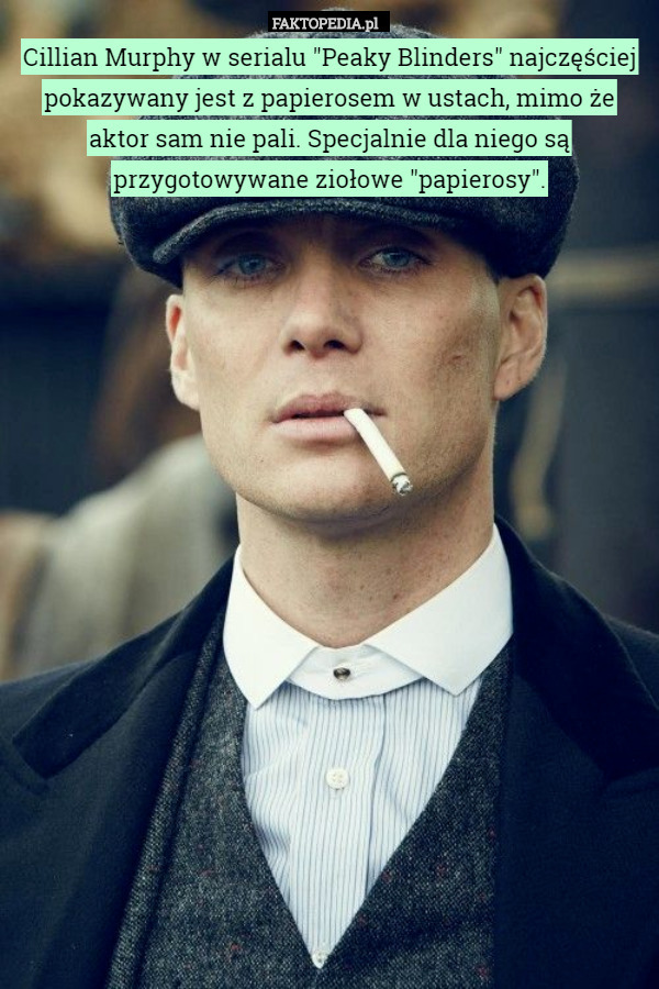 Cillian Murphy w serialu "Peaky Blinders" najczęściej pokazywany jest z papierosem w ustach, mimo że aktor sam nie pali. Specjalnie dla niego są przygotowywane ziołowe "papierosy". 