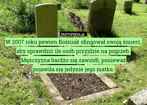W 2007 roku pewien Bośniak sfingował swoją śmierć, aby sprawdzić ile osób przyjdzie na pogrzeb. Mężczyzna bardzo się zawiódł, ponieważ
 pojawiła się jedynie jego matka. 
