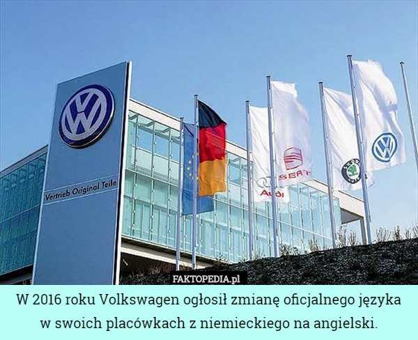 W 2016 roku Volkswagen ogłosił zmianę oficjalnego języka
 w swoich placówkach z niemieckiego na angielski. 