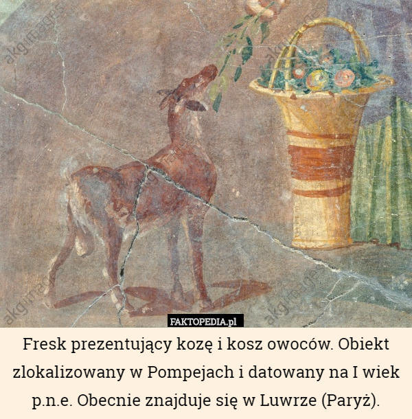 Fresk prezentujący kozę i kosz owoców. Obiekt zlokalizowany w Pompejach i datowany na I wiek p.n.e. Obecnie znajduje się w Luwrze (Paryż). 