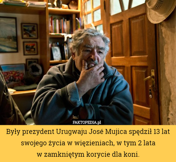 Były prezydent Urugwaju José Mujica spędził 13 lat swojego życia w więzieniach, w tym 2 lata
 w zamkniętym korycie dla koni. 
