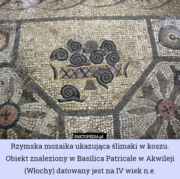 Rzymska mozaika ukazująca ślimaki w koszu. Obiekt znaleziony w Basilica Patricale w Akwileji (Włochy) datowany jest na IV wiek n.e. 