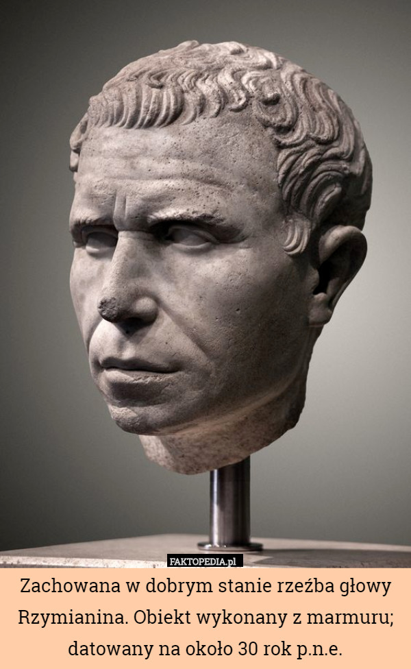 Zachowana w dobrym stanie rzeźba głowy Rzymianina. Obiekt wykonany z marmuru; datowany na około 30 rok p.n.e. 
