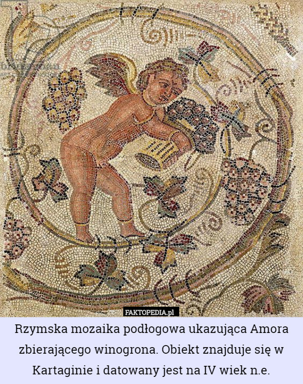 Rzymska mozaika podłogowa ukazująca Amora zbierającego winogrona. Obiekt znajduje się w Kartaginie i datowany jest na IV wiek n.e. 