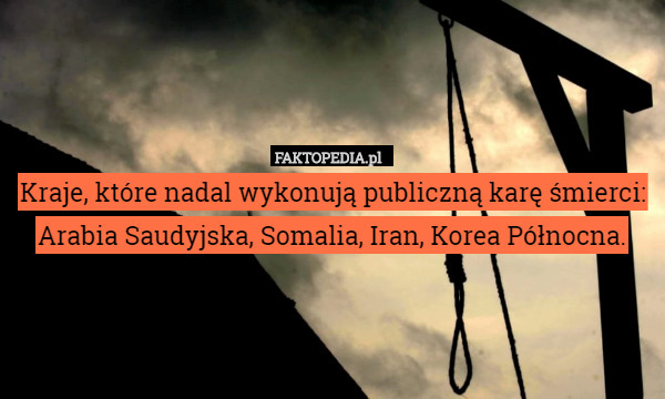 Kraje, które nadal wykonują publiczną karę śmierci: Arabia Saudyjska, Somalia, Iran, Korea Północna. 