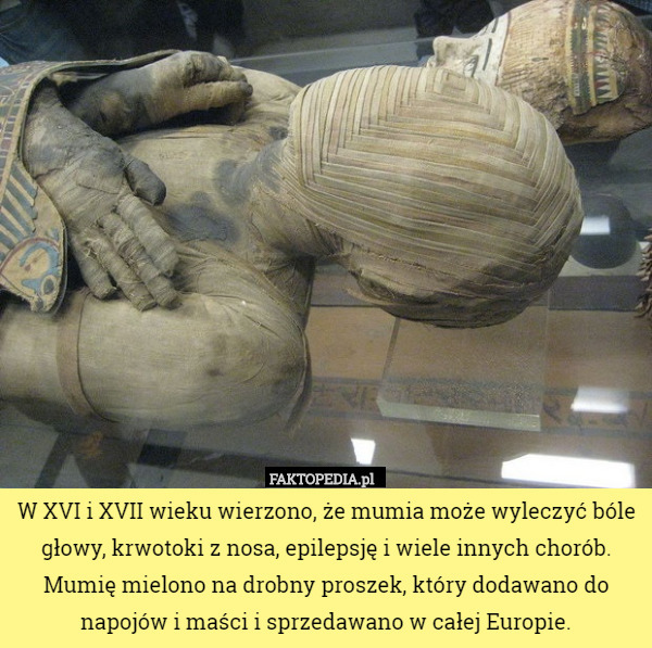 W XVI i XVII wieku wierzono, że mumia może wyleczyć bóle głowy, krwotoki z nosa, epilepsję i wiele innych chorób. Mumię mielono na drobny proszek, który dodawano do napojów i maści i sprzedawano w całej Europie. 