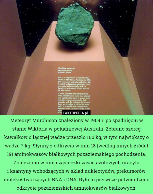 Meteoryt Murchison znaleziony w 1969 r. po spadnięciu w stanie Wiktoria w południowej Australii. Zebrano szereg kawałków o łącznej wadze przeszło 100 kg, w tym największy o wadze 7 kg. Słynny z odkrycia w nim 18 (według innych źródeł 19) aminokwasów białkowych pozaziemskiego pochodzenia. Znaleziono w nim cząsteczki zasad azotowych uracylu
 i ksantyny wchodzących w skład nukleotydów, prekursorów molekuł tworzących RNA i DNA. Było to pierwsze potwierdzone odkrycie pozaziemskich aminokwasów białkowych. 