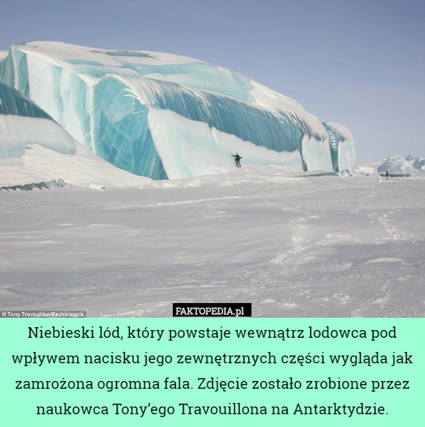 Niebieski lód, który powstaje wewnątrz lodowca pod wpływem nacisku jego zewnętrznych części wygląda jak zamrożona ogromna fala. Zdjęcie zostało zrobione przez naukowca Tony’ego Travouillona na Antarktydzie. 