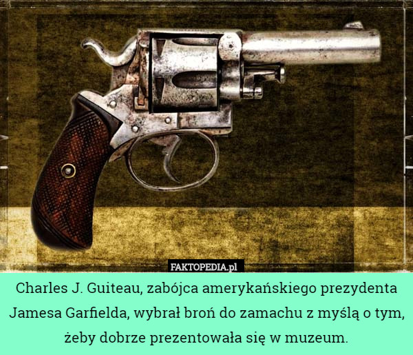 Charles J. Guiteau, zabójca amerykańskiego prezydenta Jamesa Garfielda, wybrał broń do zamachu z myślą o tym, żeby dobrze prezentowała się w muzeum. 