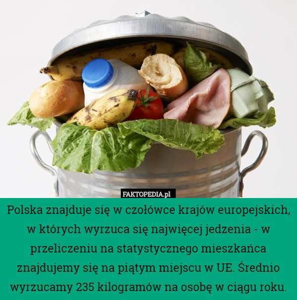 Polska znajduje się w czołówce krajów europejskich, w których wyrzuca się najwięcej jedzenia - w przeliczeniu na statystycznego mieszkańca znajdujemy się na piątym miejscu w UE. Średnio wyrzucamy 235 kilogramów na osobę w ciągu roku. 