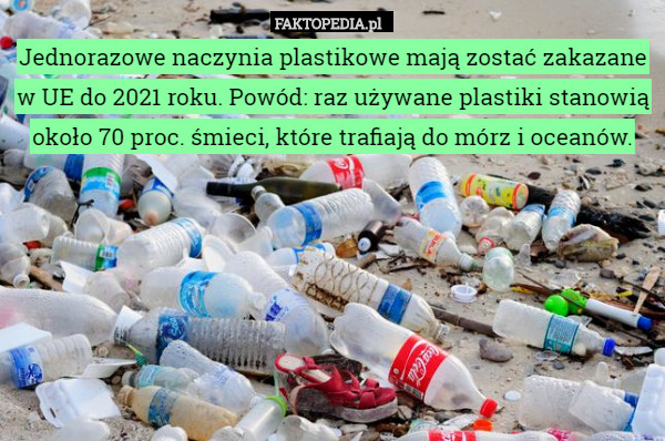 Jednorazowe naczynia plastikowe mają zostać zakazane w UE do 2021 roku. Powód: raz używane plastiki stanowią około 70 proc. śmieci, które trafiają do mórz i oceanów. 